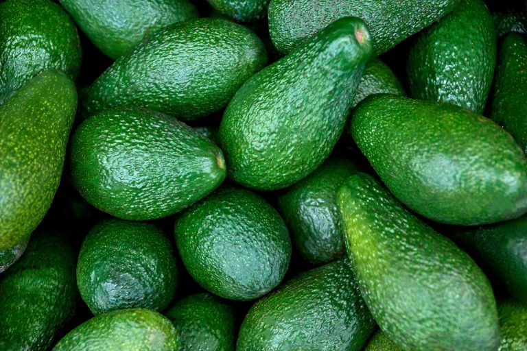 Fresh,Avocado,On,The,Market.,Avocados,Are,Very,Nutritious,And