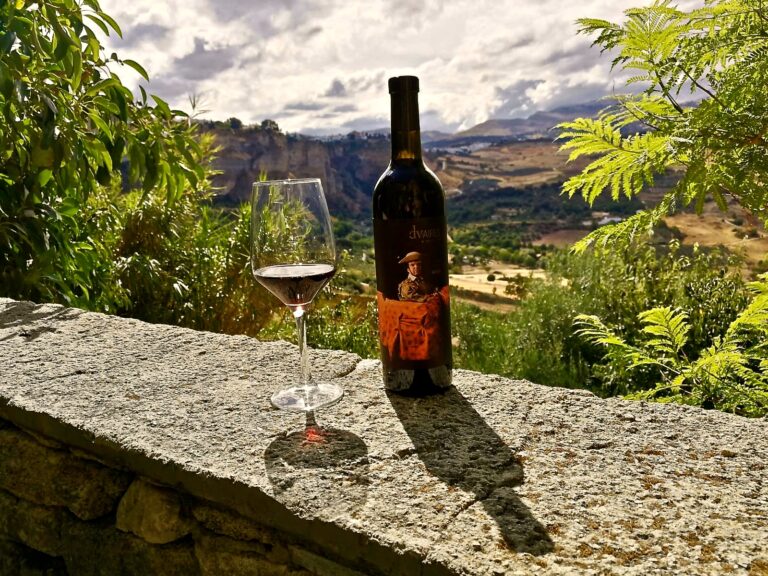 Descalzos Viejos wine and view. Photo © Karethe Linaae