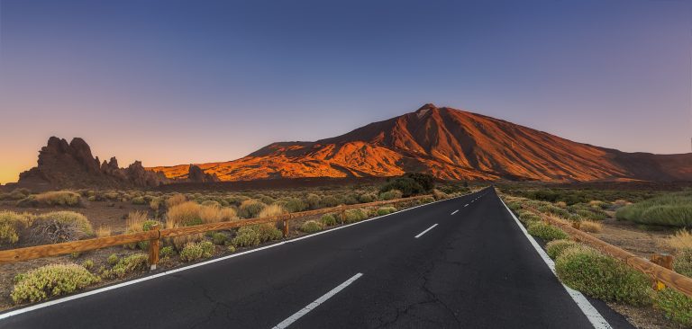 shutterstock_505173838
