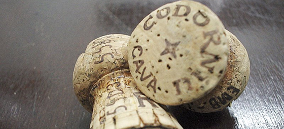 Cava – Den spanske champagne