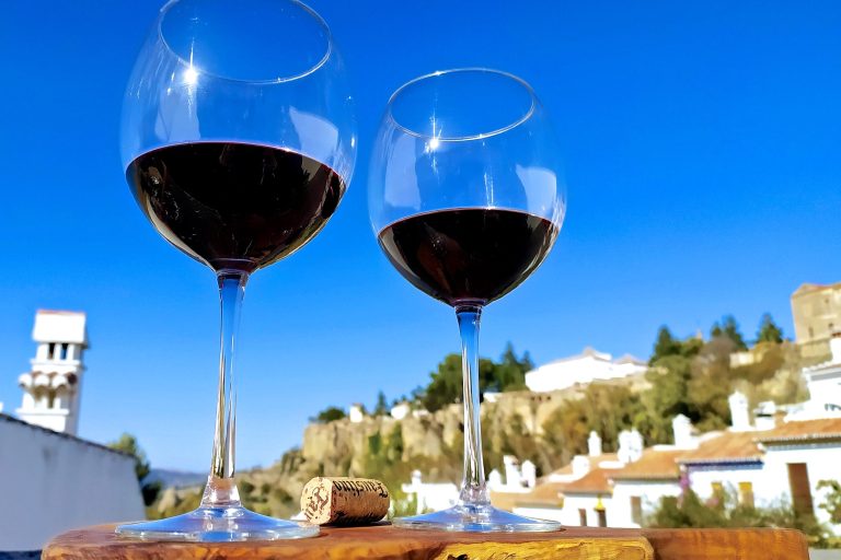 En rejse til nogle af Andalusiens mest spektakulære vingårde