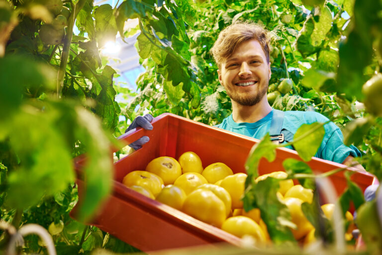 Friendly,Farmer,At,Work,In,Greenhouse.