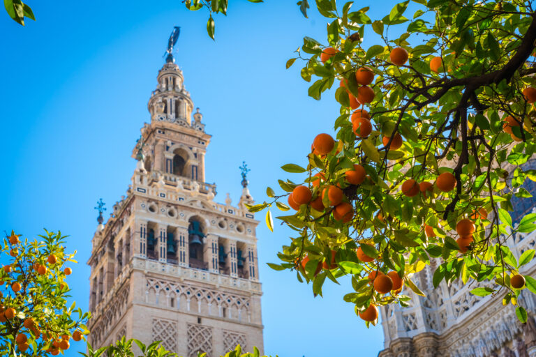 Den andalusiske appelsin