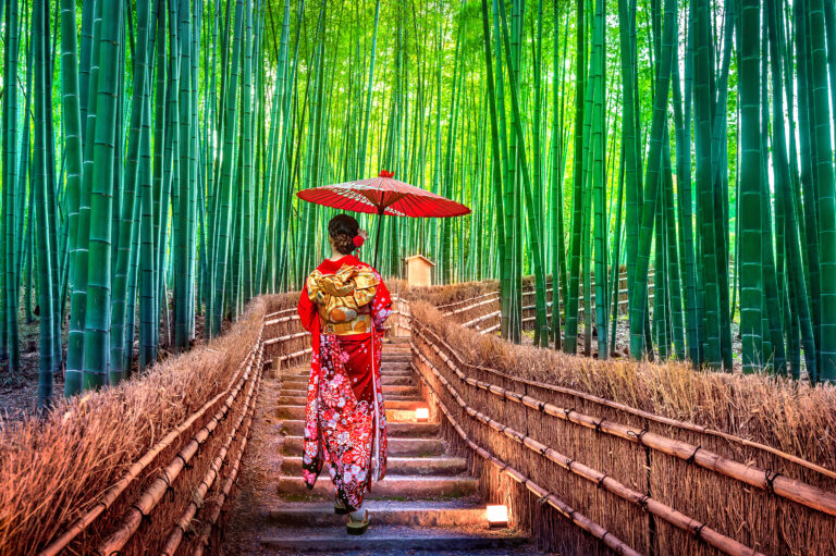Bamboo,Forest.,Asian,Woman,Wearing,Japanese,Traditional,Kimono,At,Bamboo