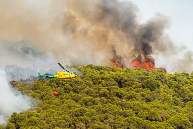 Mijas,,Málaga-,16,De,Julio,De,2022,,Forest,Fire,In