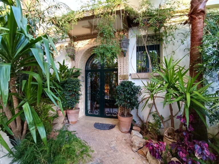 Frodig inngang. La Maison de Tanger 1. Bilde © Karethe Linaae