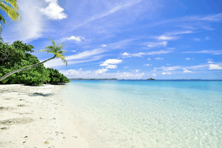 Screenshot 2025-06-27 at 11.49.55