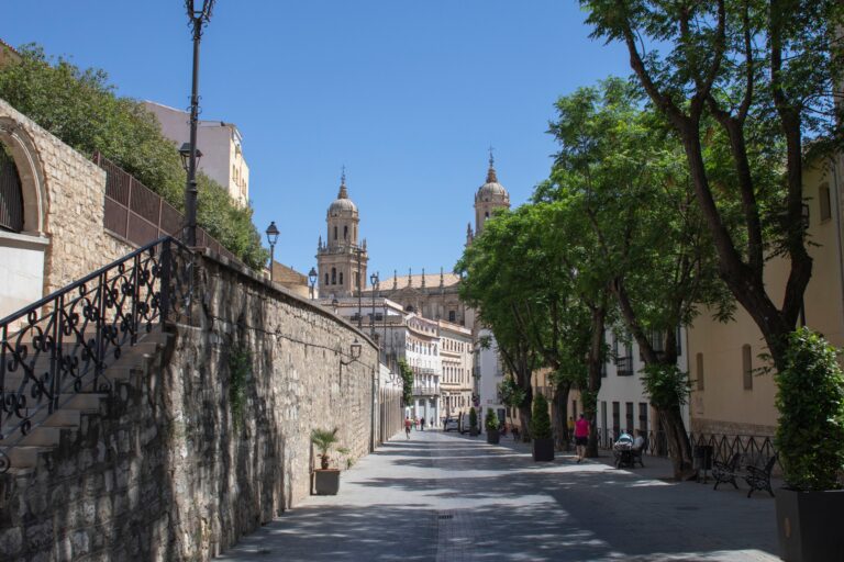 Jaén – verdens olivenoliehovedstad med en af landets flotteste paradorer