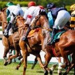 Nyt håb for galopbanen i Mijas