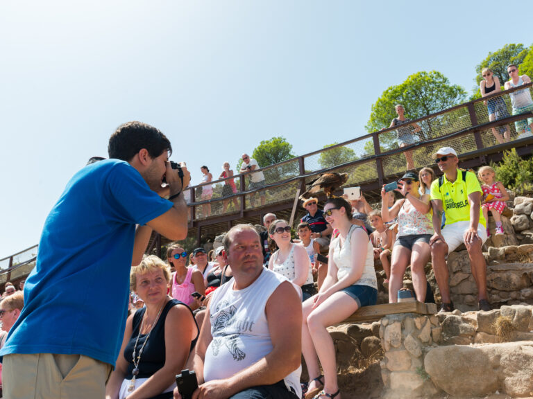 Flere turister foretrækker Benalmádena